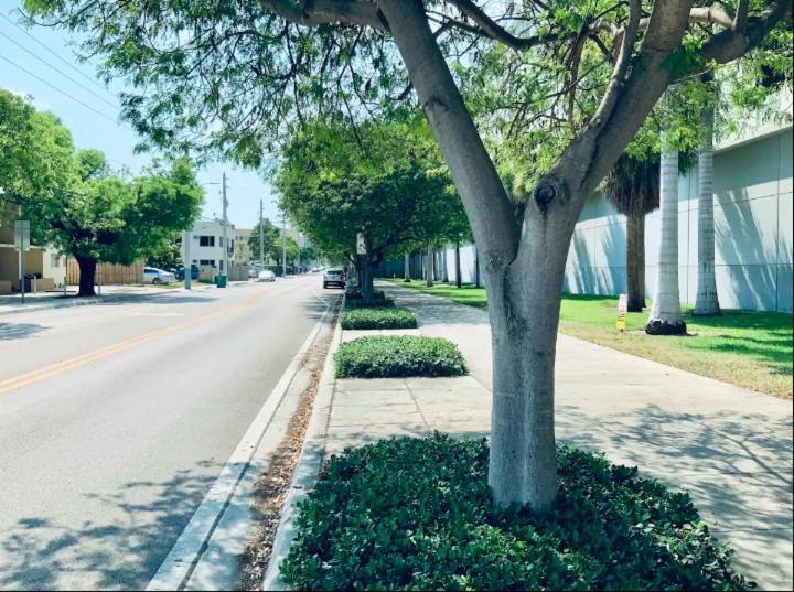 Apartments In The Heart Of Miami - Port Of Miami / Miami Airport Екстериор снимка